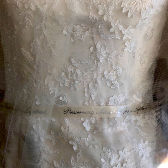 Wedding dress - Picture 11 of 14
